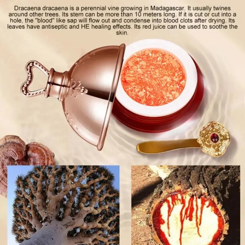 Dragon's Blood Face Cream Reti - Luxury Skincare Brands 评论和价格